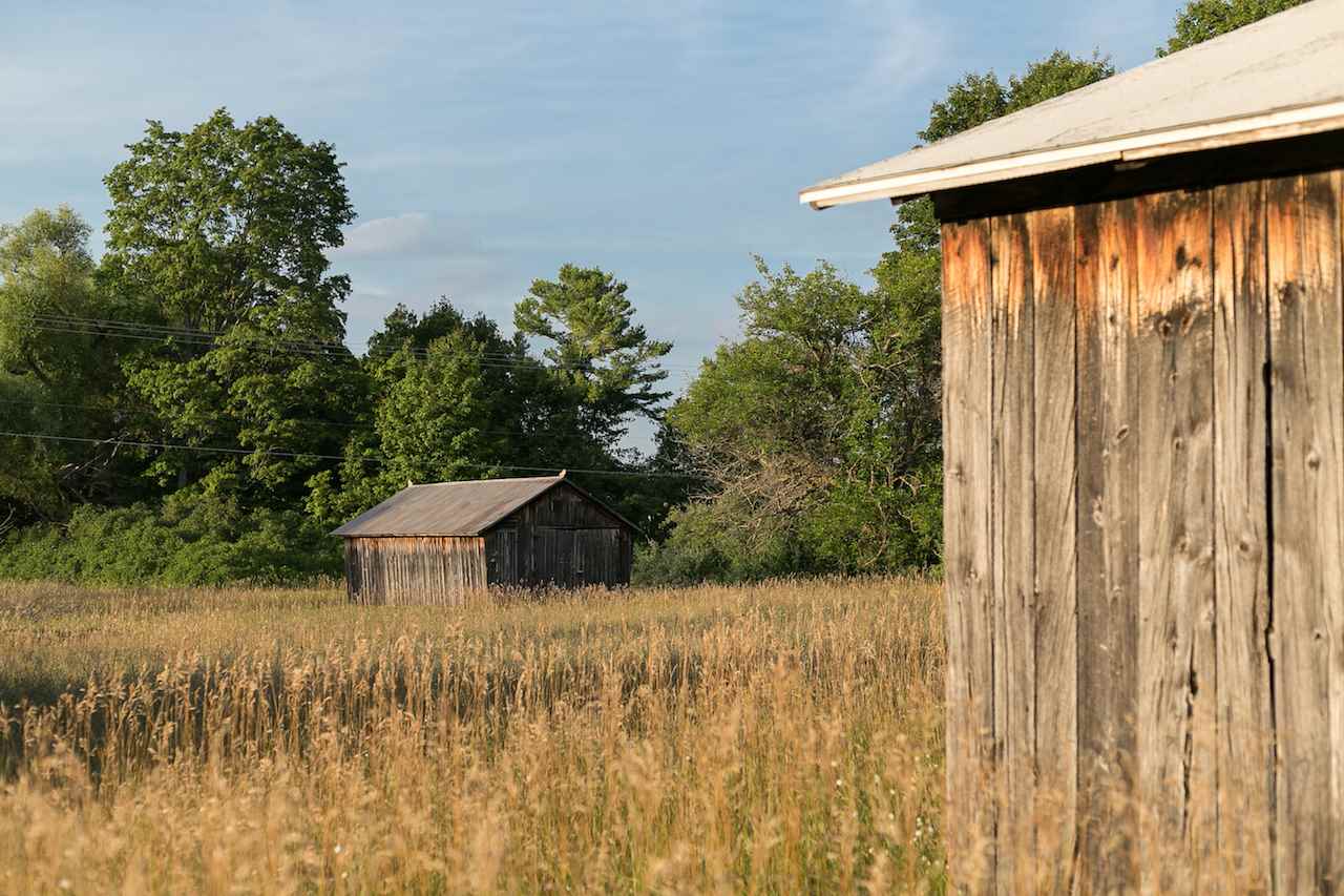 Narlock Road Cedar, MI 49621 - Photo 8 of 35 1837310-7.JPG