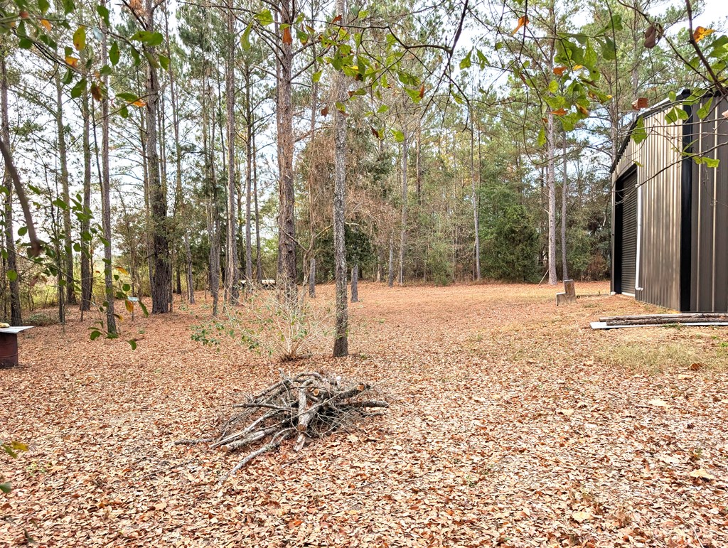 100 Womack Road Ashford, AL 36312 - Photo 12 of 12