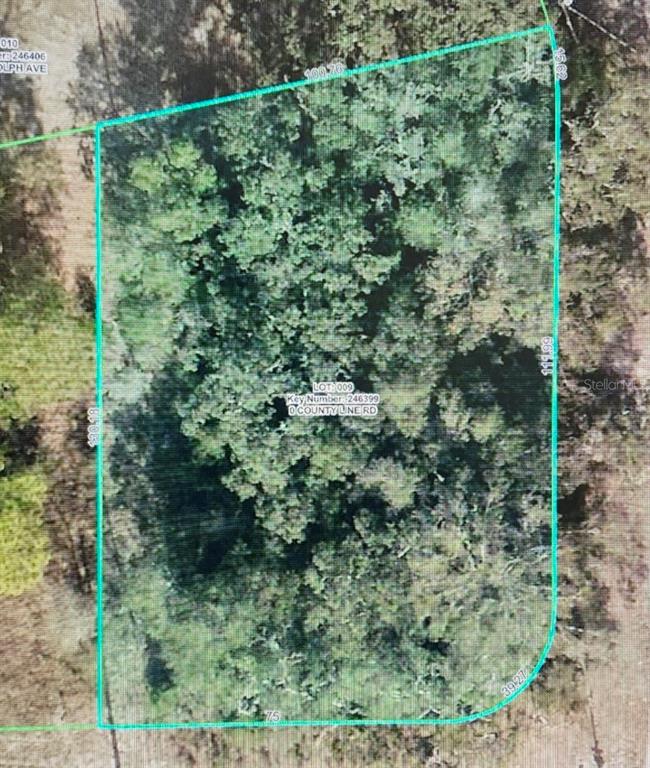 8093 County Line Road Spring Hill, FL 34606 - Photo 5 of 5 Gallery Image 5