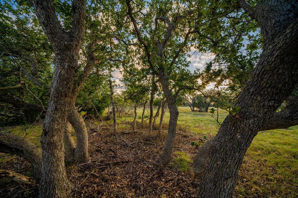 Lot 51 Reservation Road, Unit 51 Harper, TX 78631 - Photo 5 of 5 Gallery Image 5