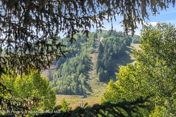 $35,000 | 124 East Durant Avenue, Unit 1, Aspen, CO 81611