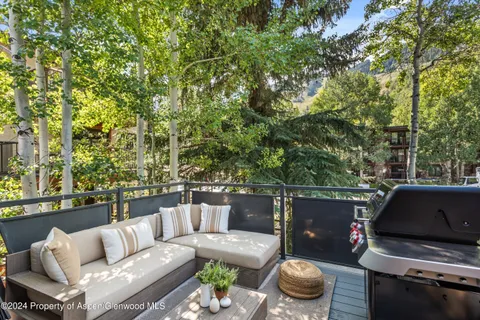 $35,000 | 124 East Durant Avenue, Unit 1, Aspen, CO 81611