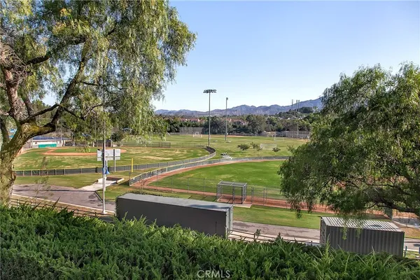 a view of a park with large trees