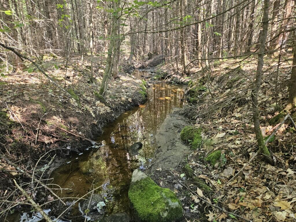 5 Farmington Falls Road New Sharon, ME 04955 - Photo 20 of 39 20260629_154331