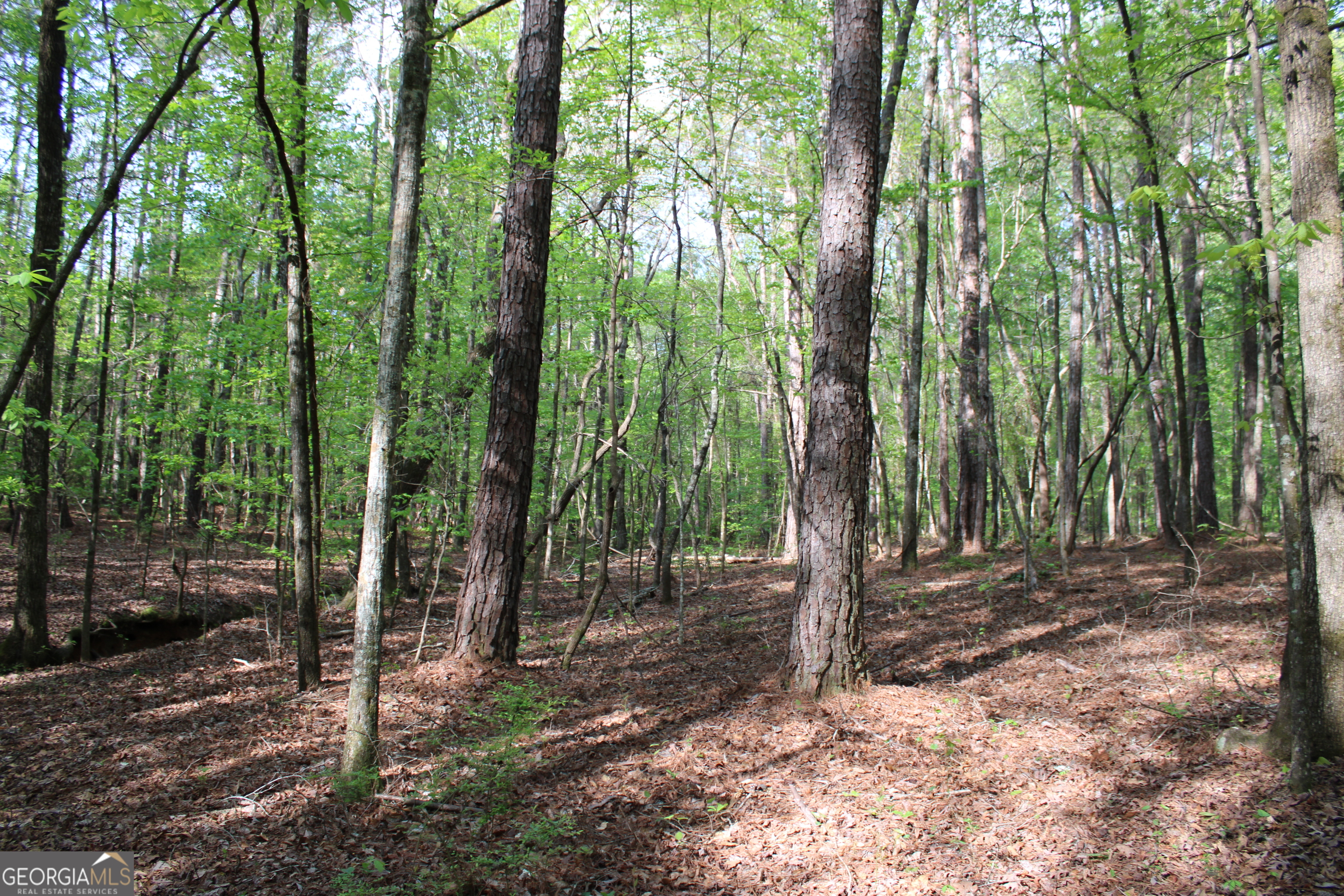 0 Ruffner Road The Rock, GA 30285 - Photo 31 of 51 a view of outdoor space and trees