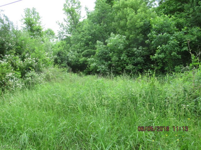 6269 Van Buren Road Clinton, OH 44216 - Photo 3 of 6