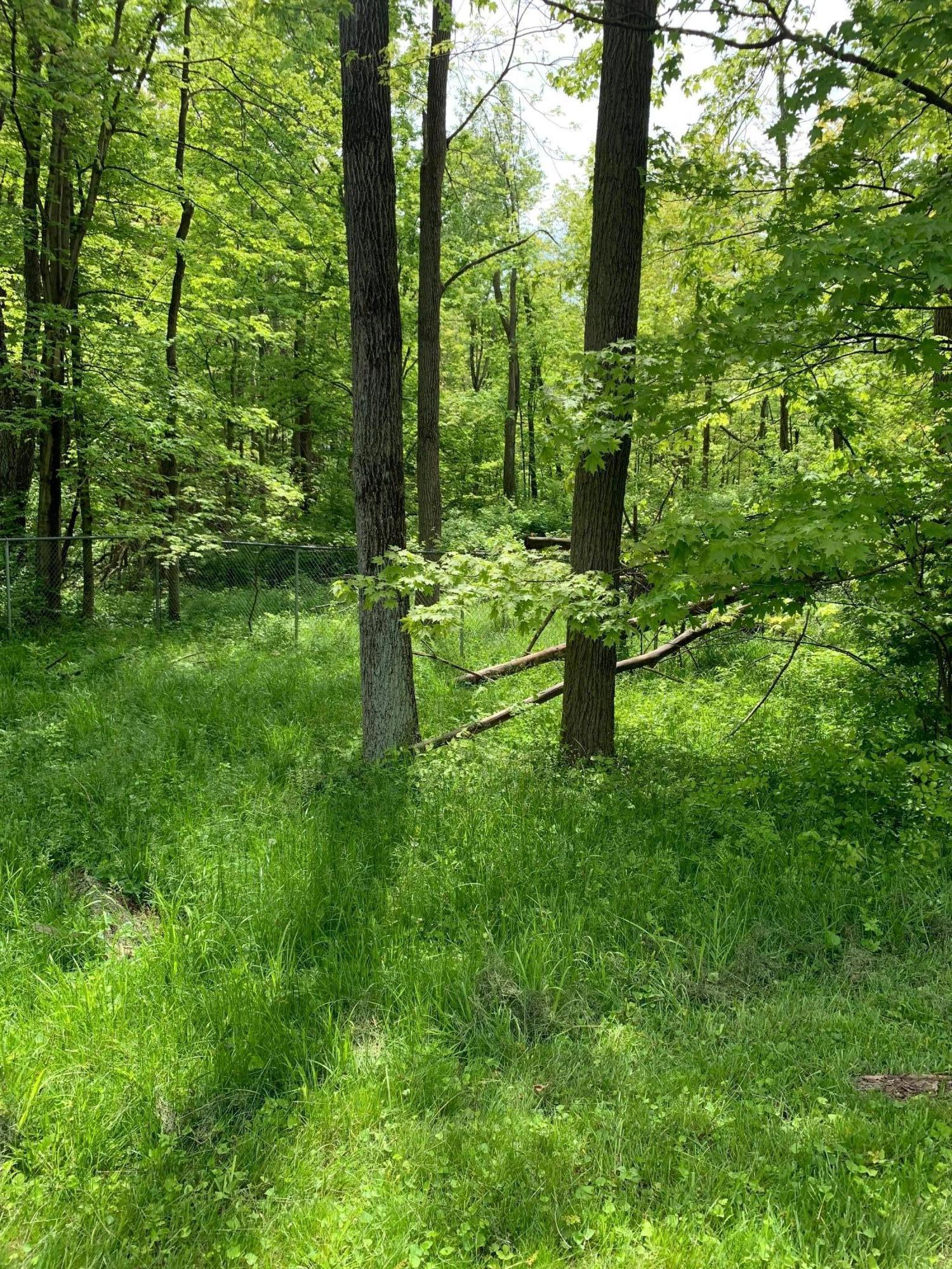 5095 Red Bank Road Galena, OH 43021 - Photo 11 of 36 Gallery Image 11