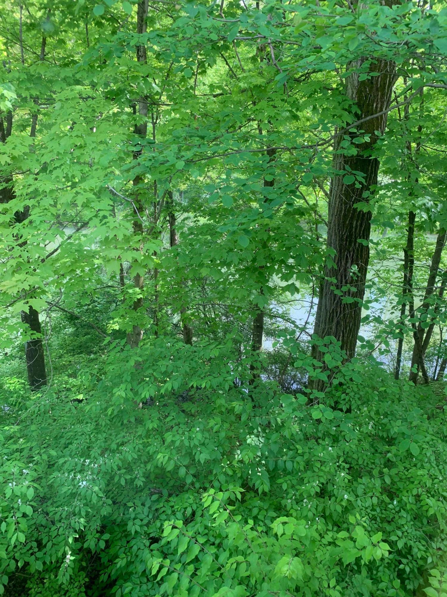 5095 Red Bank Road Galena, OH 43021 - Photo 23 of 36 Gallery Image 23