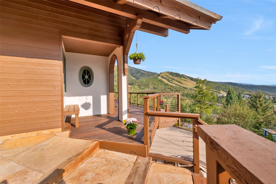 2300 Glacier Ridge Steamboat Springs, CO 80487 - Photo 4 of 50 a view of a terrace with a sink