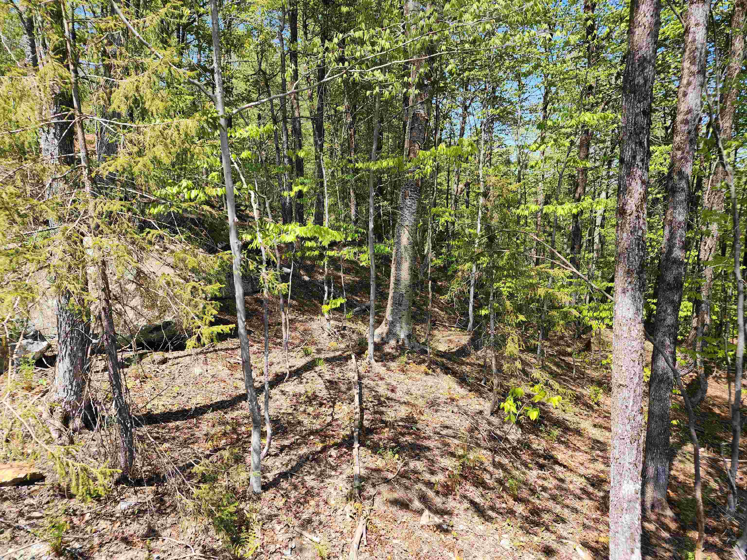 Lot R54 Downabout Road Killington, VT 05751 - Photo 12 of 19