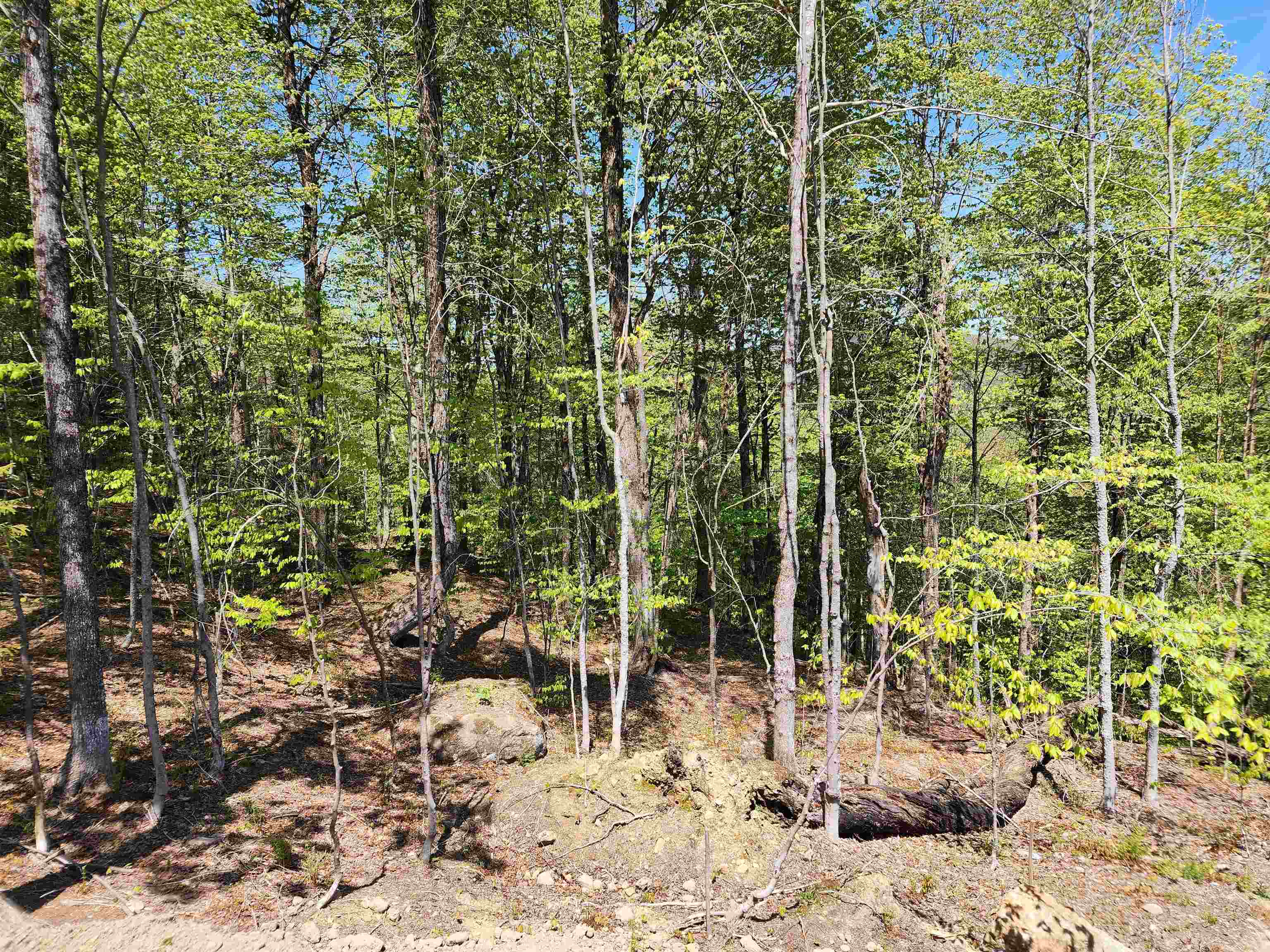 Lot R54 Downabout Road Killington, VT 05751 - Photo 13 of 19