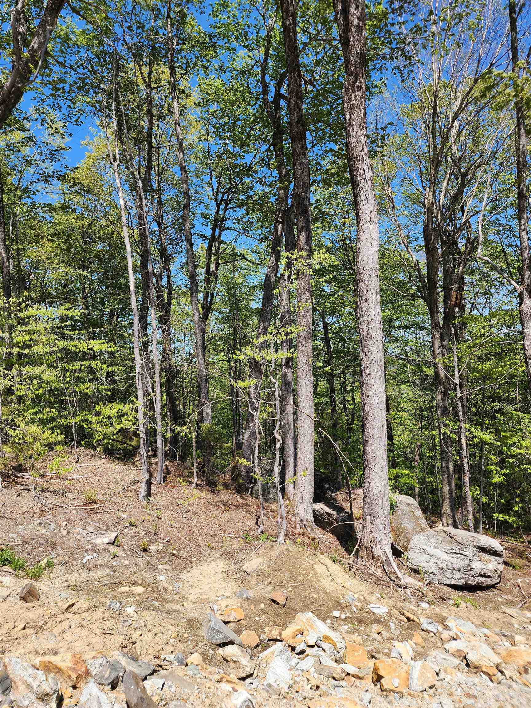 Lot R54 Downabout Road Killington, VT 05751 - Photo 14 of 19