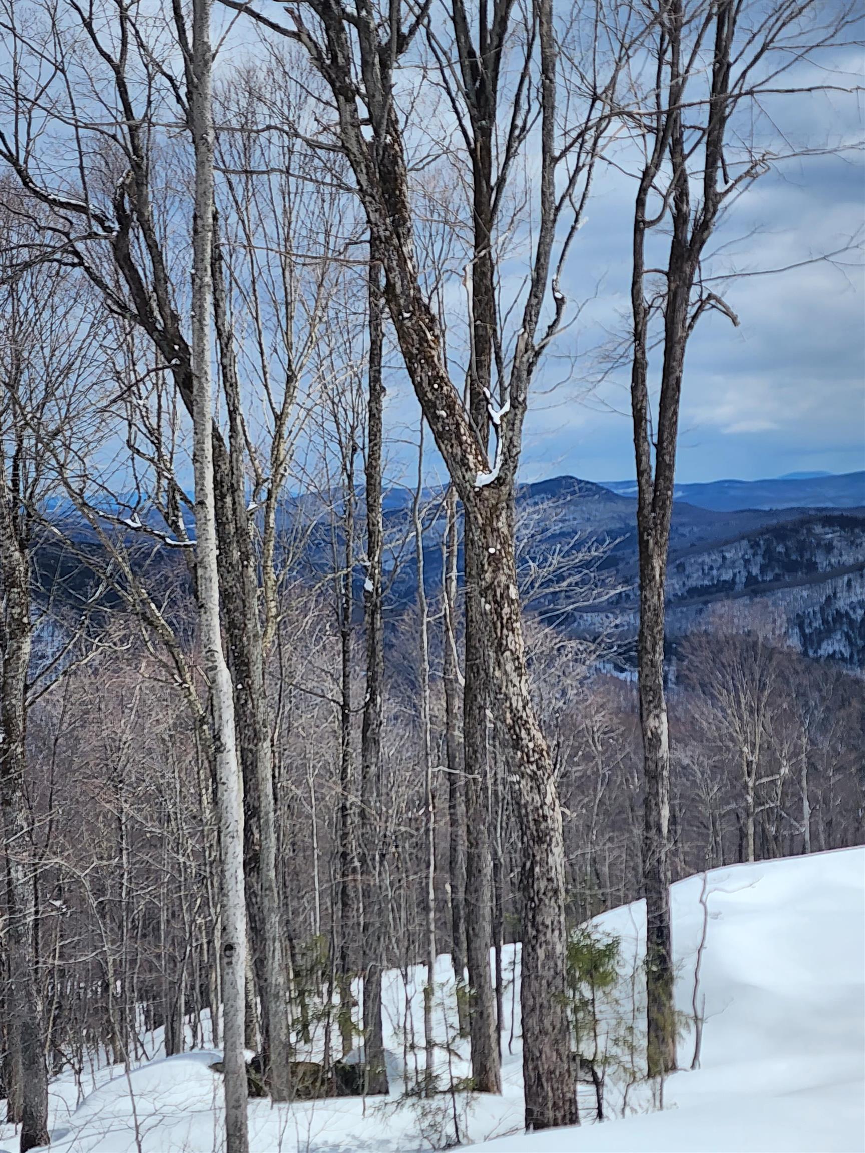 Lot R54 Downabout Road Killington, VT 05751 - Photo 17 of 19