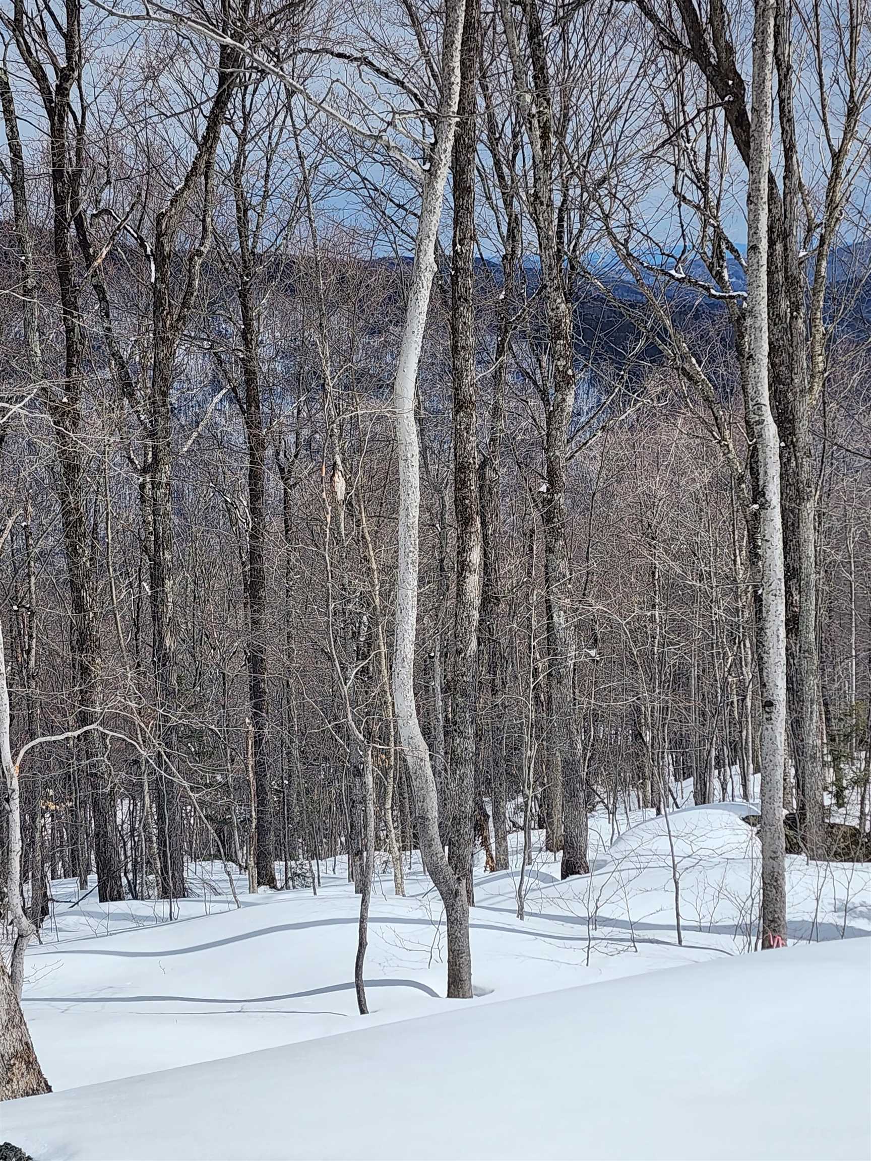 Lot R54 Downabout Road Killington, VT 05751 - Photo 19 of 19