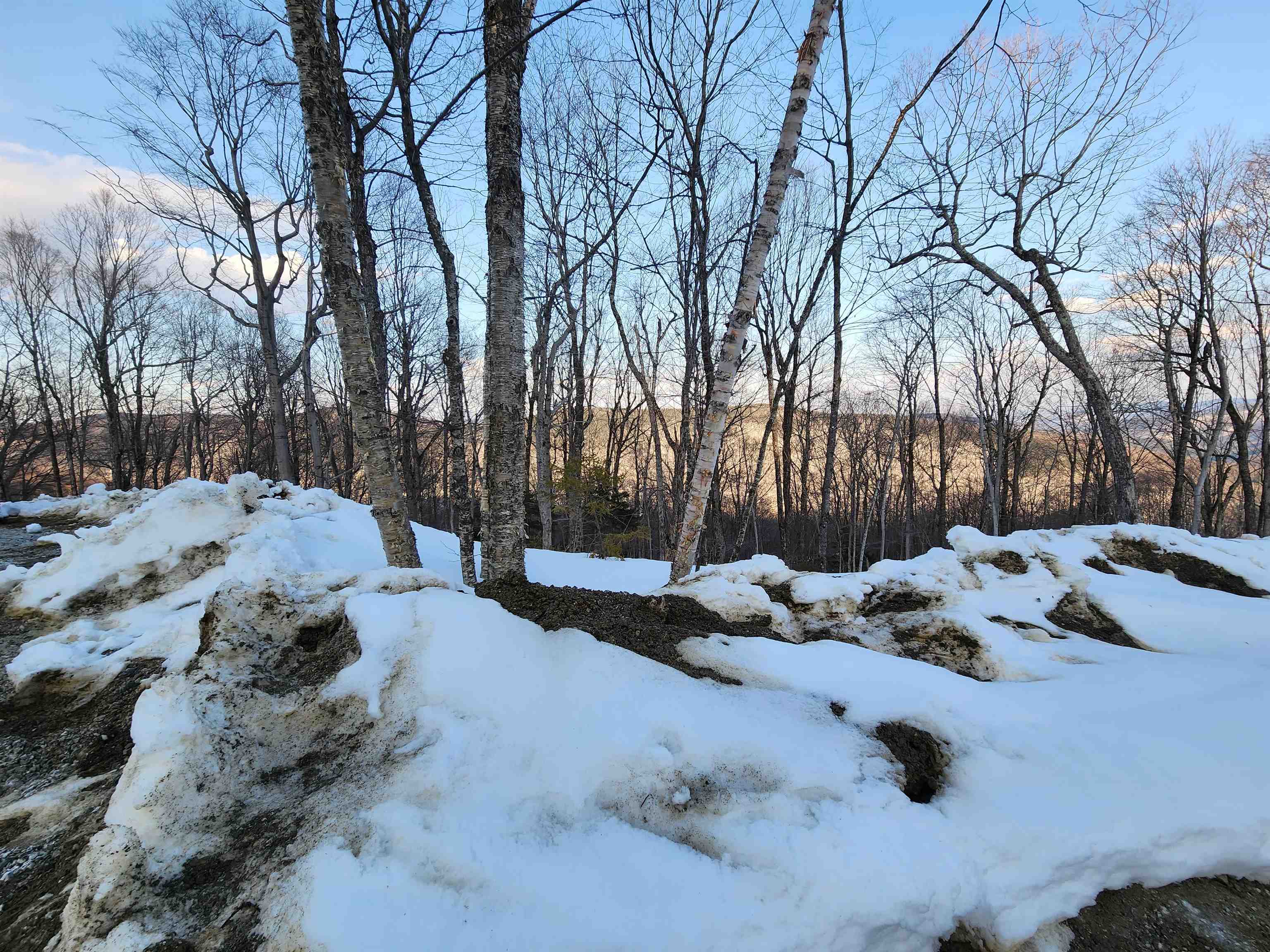 Lot R54 Downabout Road Killington, VT 05751 - Photo 3 of 19