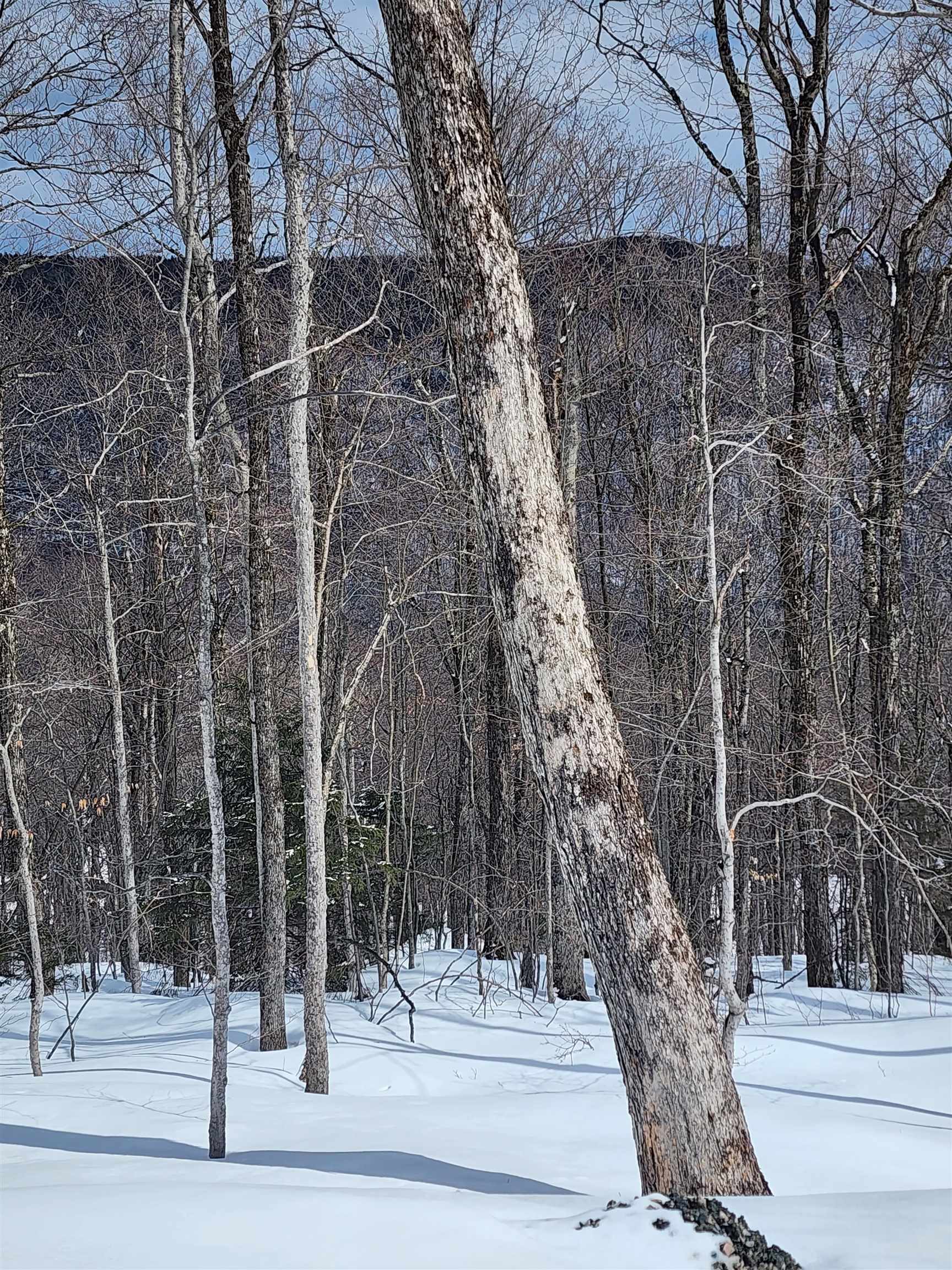 Lot R54 Downabout Road Killington, VT 05751 - Photo 4 of 19