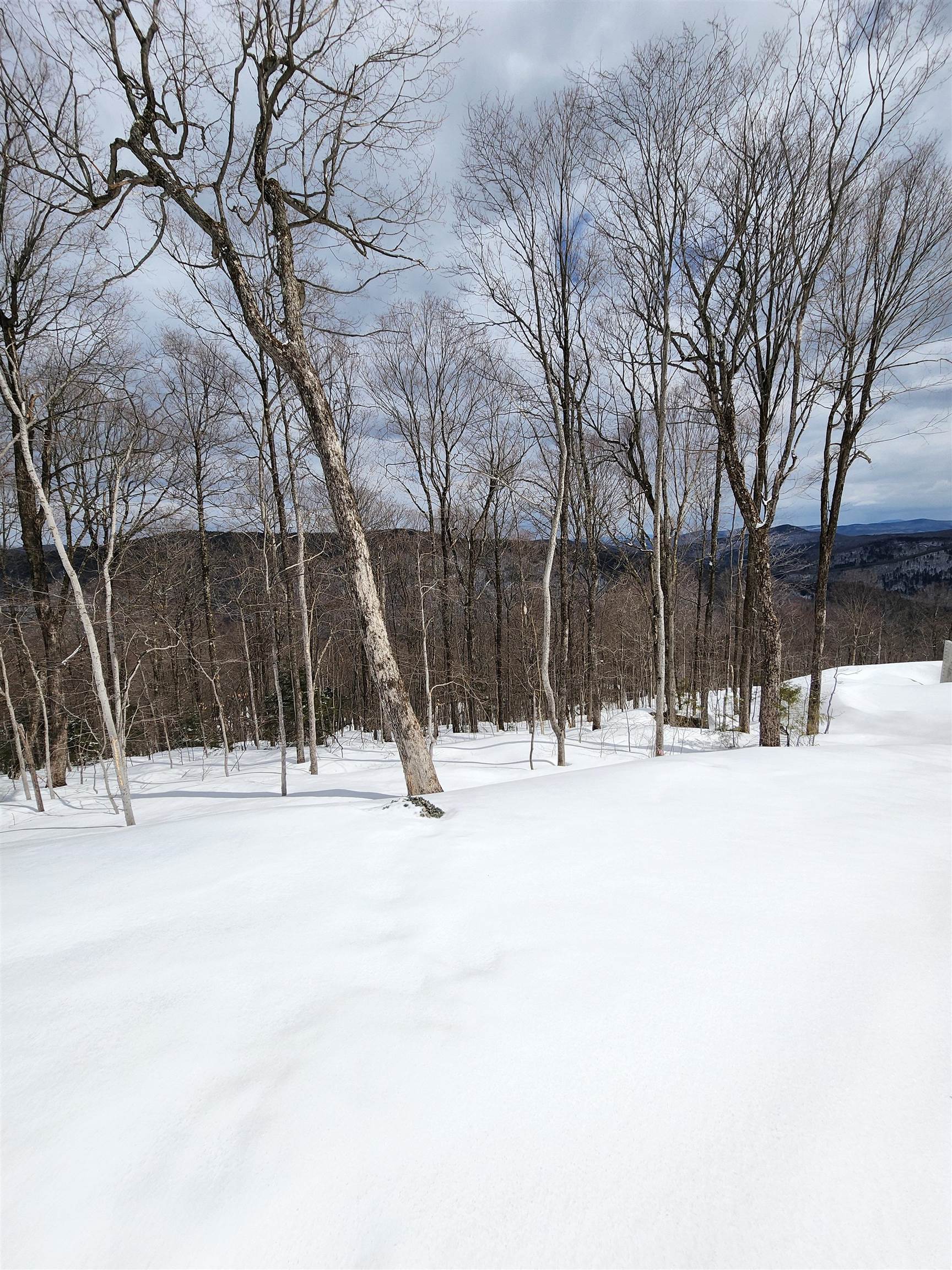 Lot R54 Downabout Road Killington, VT 05751 - Photo 9 of 19