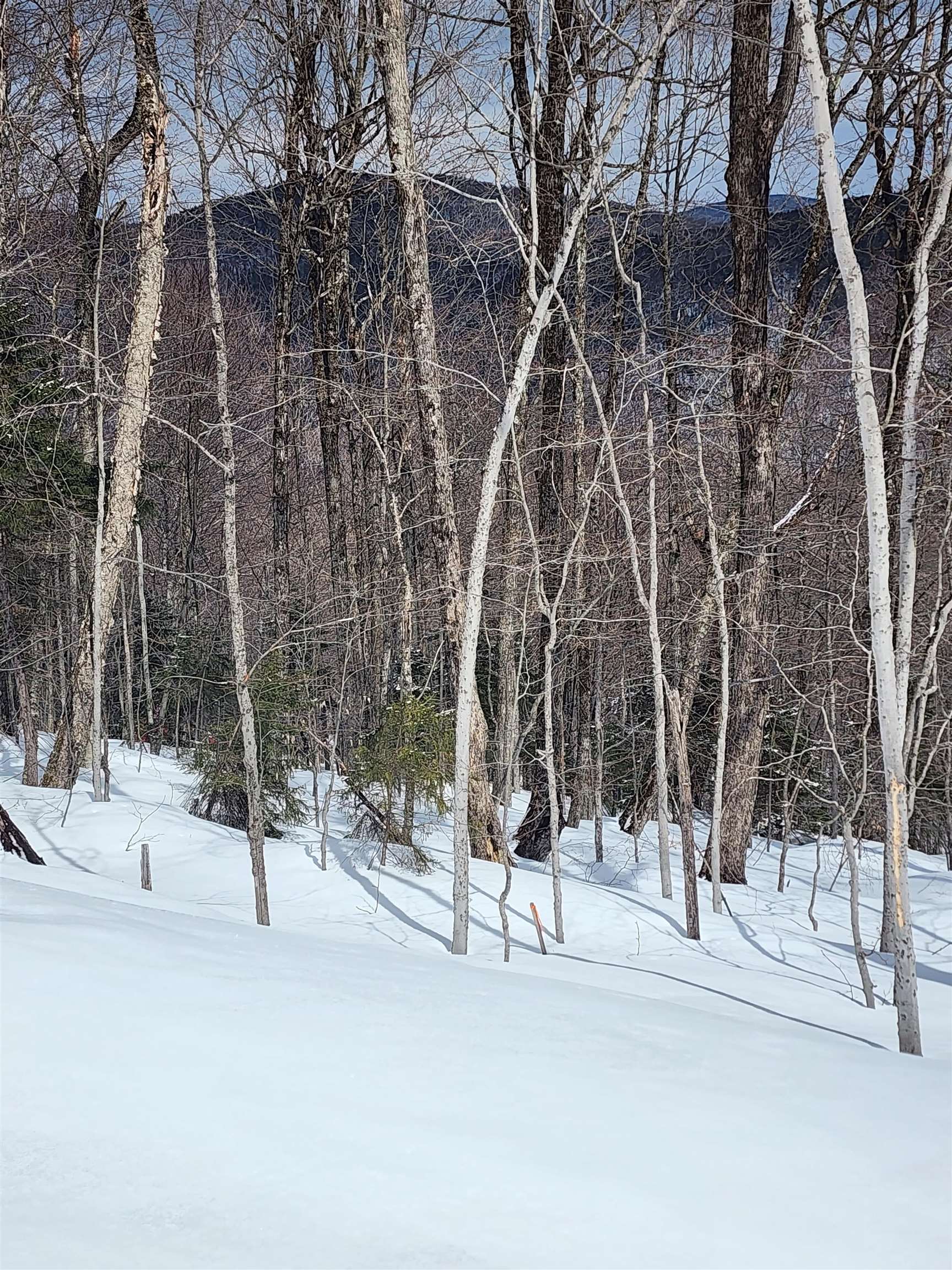 Lot R54 Downabout Road Killington, VT 05751 - Photo 10 of 19
