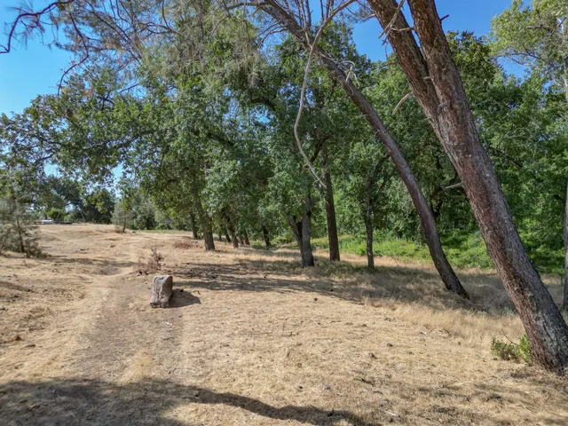 a view of a dirt road with trees in the background