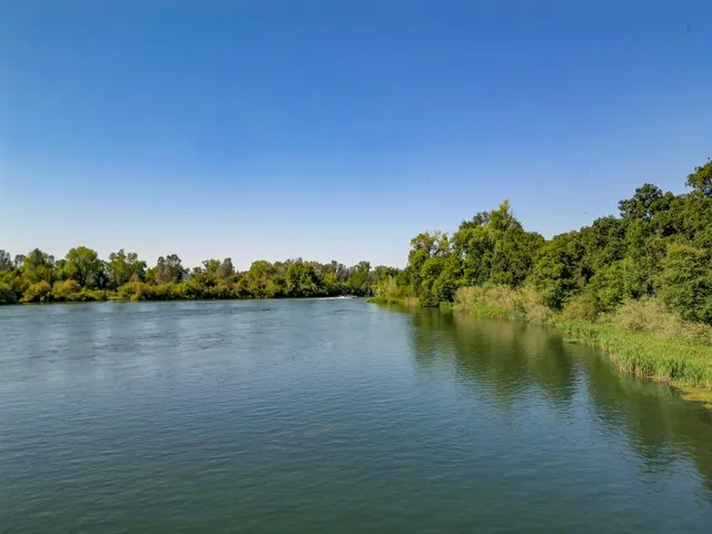 a view of a yard with palm tree