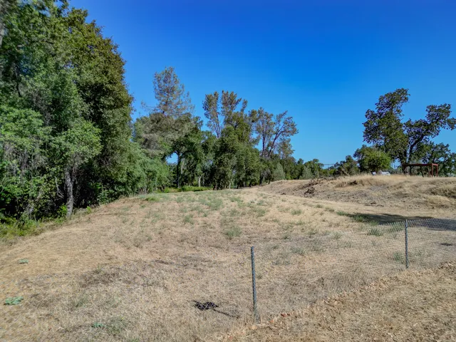 a view of a dry yard with trees