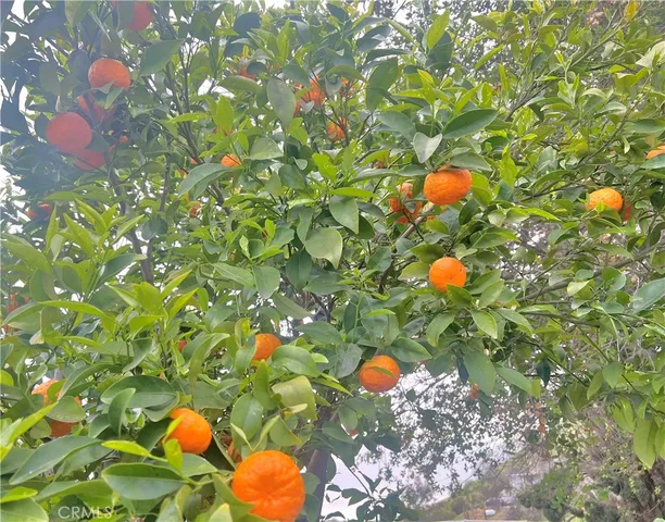 $1,595,000 | 2846 Willow Glen Drive, El Cajon, CA 92019