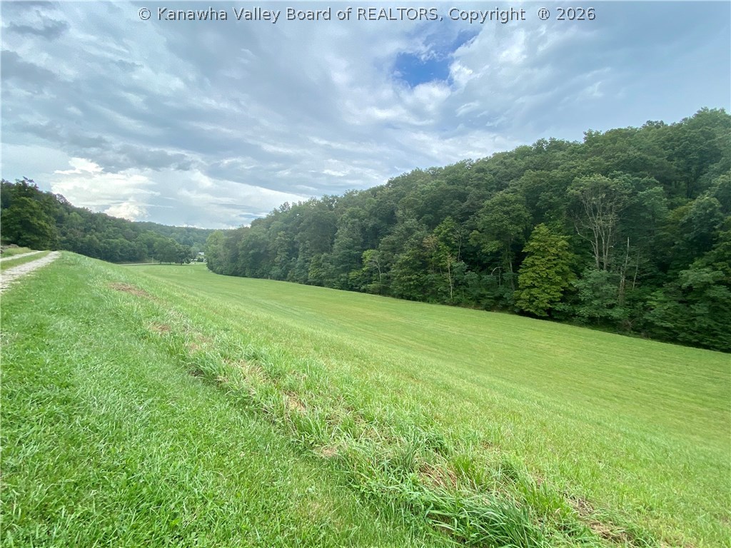831 Jesses Run Road Ravenswood, WV 26164 - Photo 23 of 38 Gallery Image 23