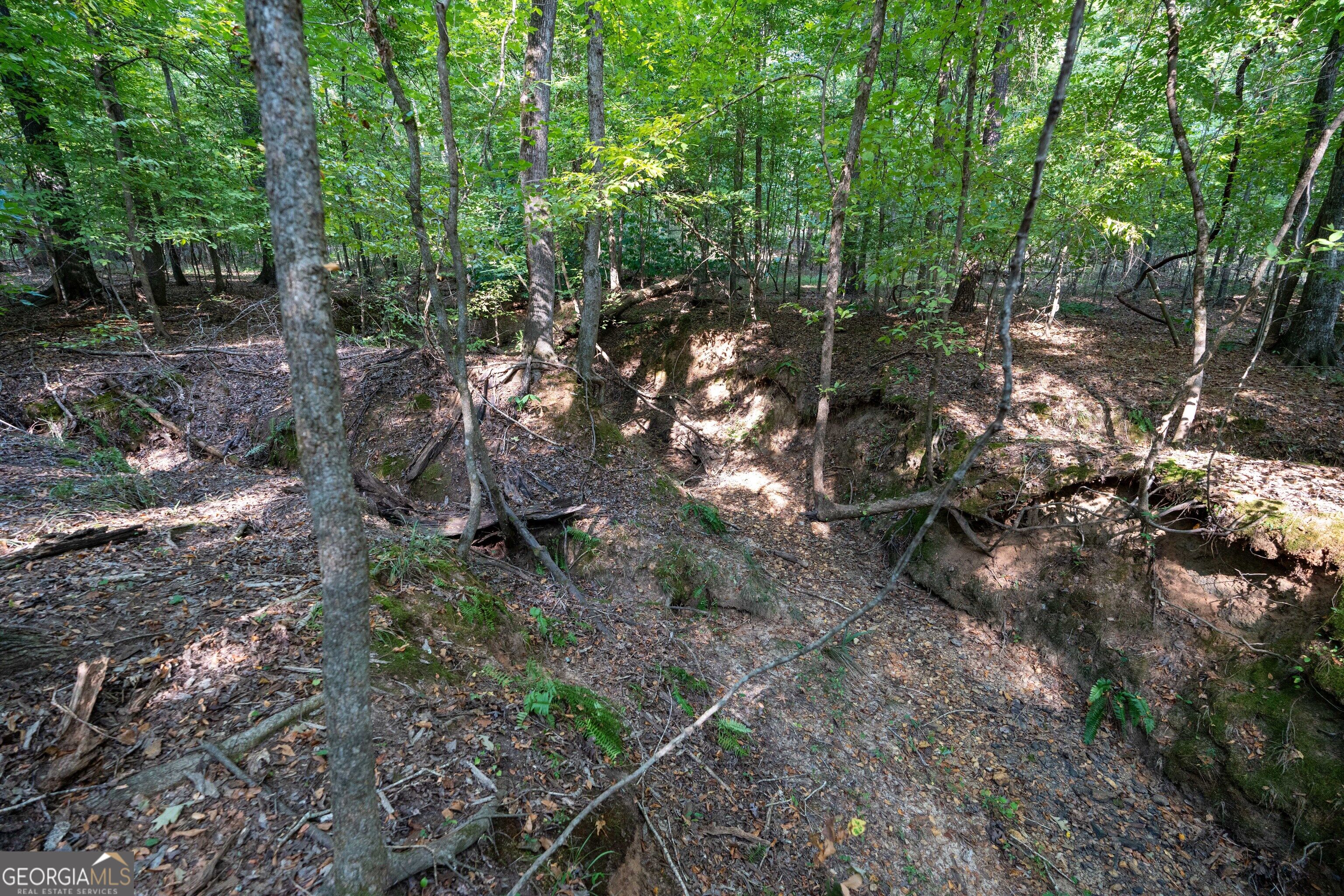 1419 Bobby Brown State Park Road Elberton, GA 30635 - Photo 62 of 90 Gallery Image 62