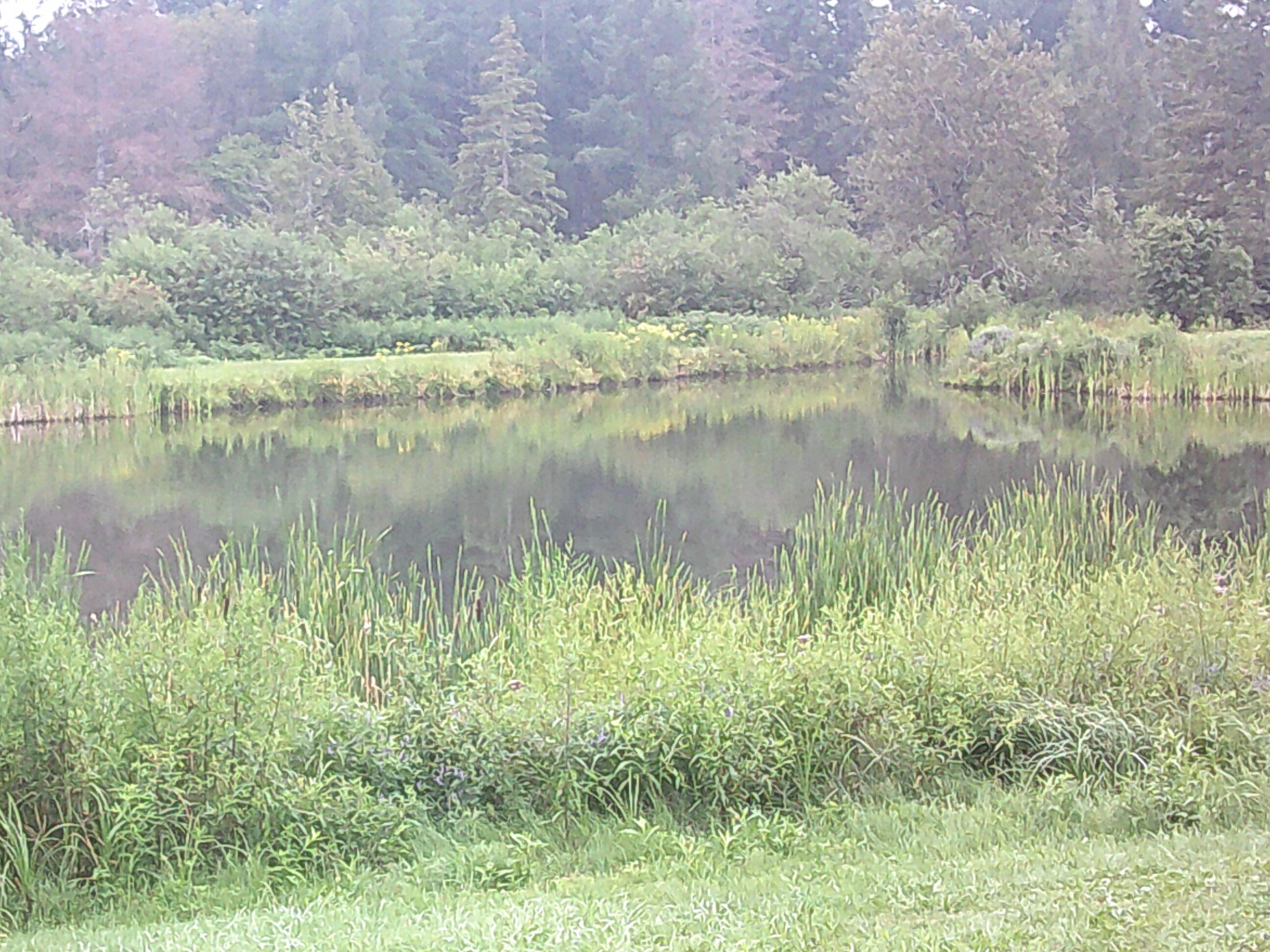 589 West Limestone Road Fort Fairfield, ME 04742 - Photo 2 of 5 589 03