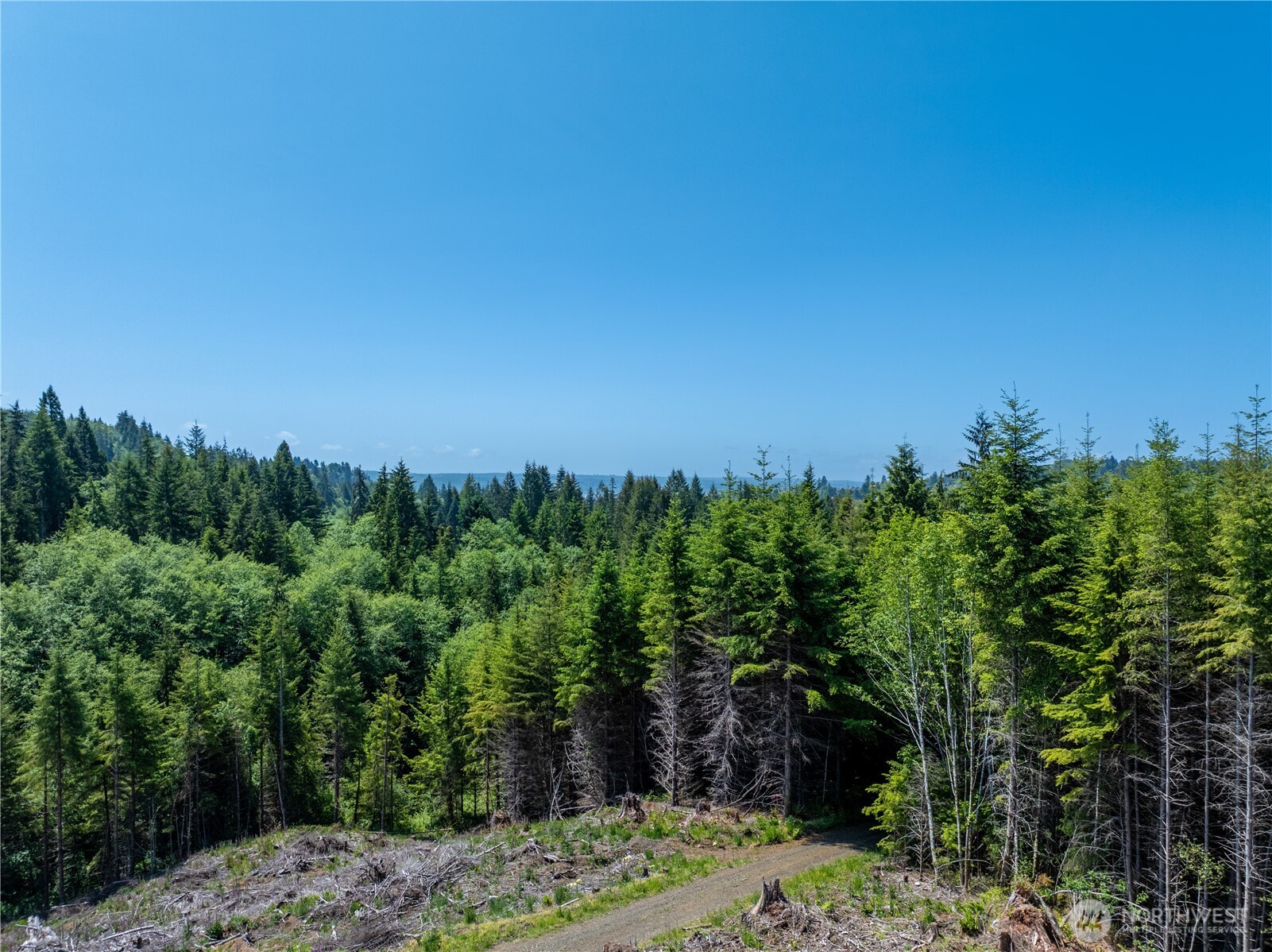 20 East Wishkah Road Aberdeen, WA 98520 - Photo 19 of 28