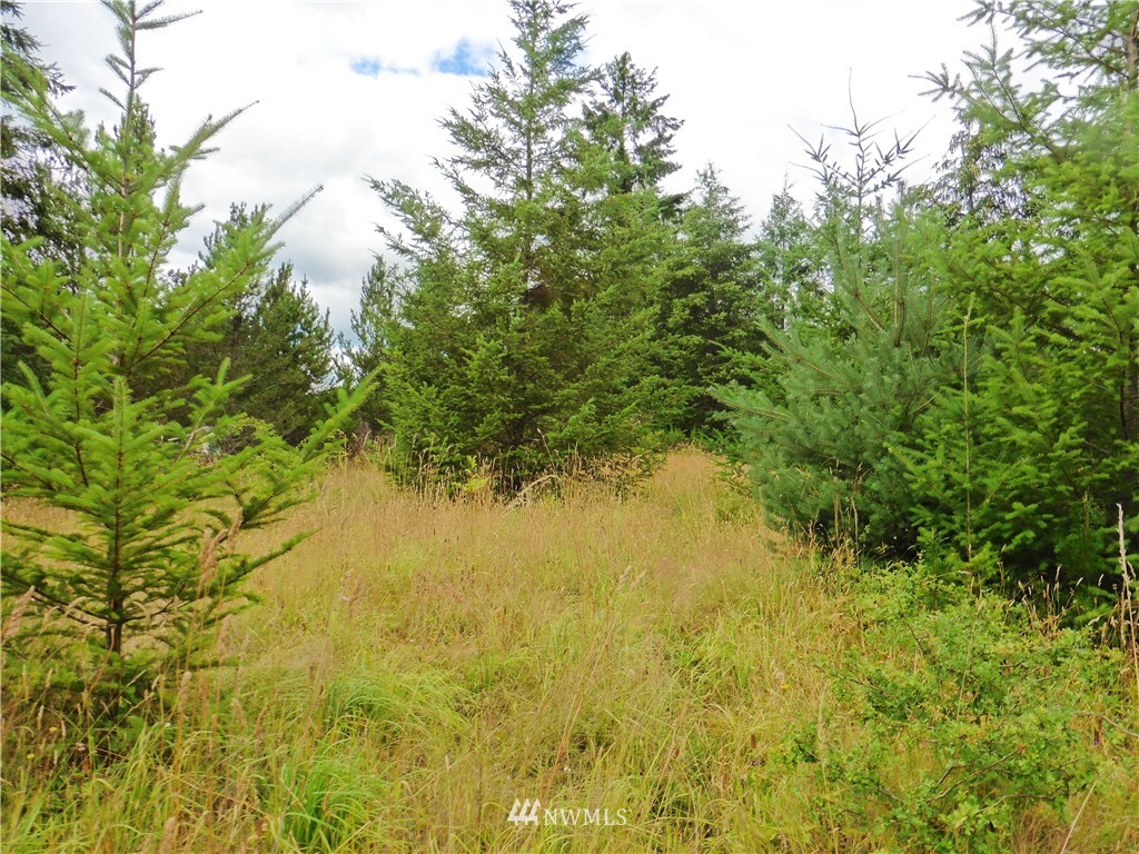 -xx Satsop Riviera Loop Elma, WA 98541 - Photo 1 of 6 Gallery Image 1