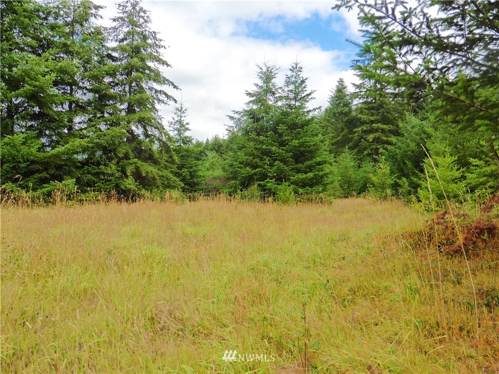 -xx Satsop Riviera Loop Elma, WA 98541 - Photo 2 of 6 Gallery Image 2