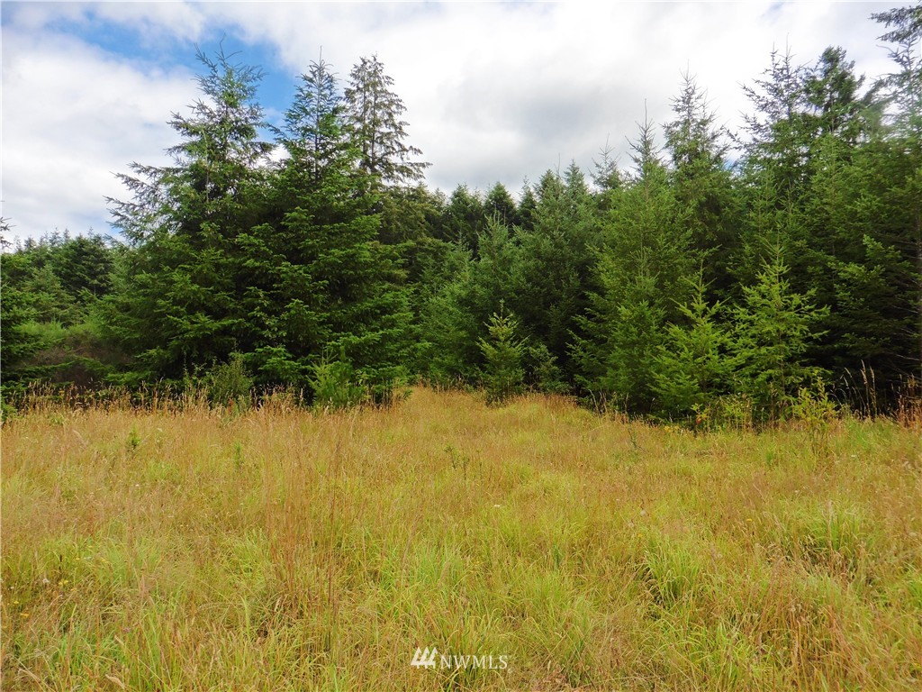 -xx Satsop Riviera Loop Elma, WA 98541 - Photo 3 of 6 Gallery Image 3