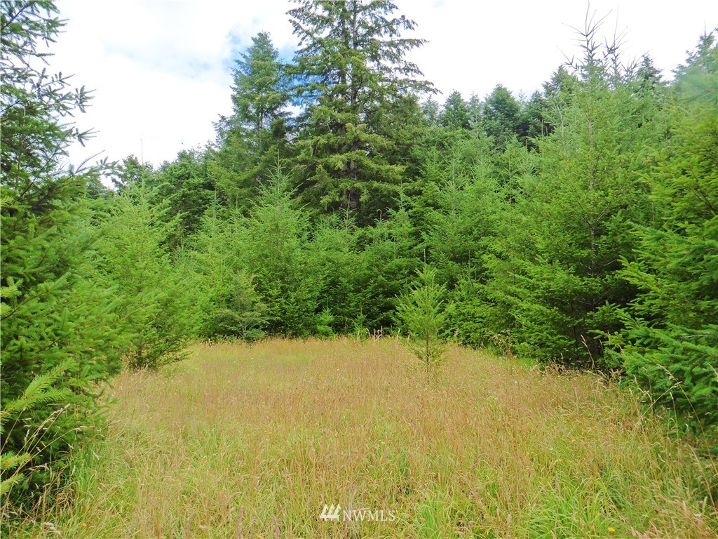 -xx Satsop Riviera Loop Elma, WA 98541 - Photo 4 of 6 Gallery Image 4