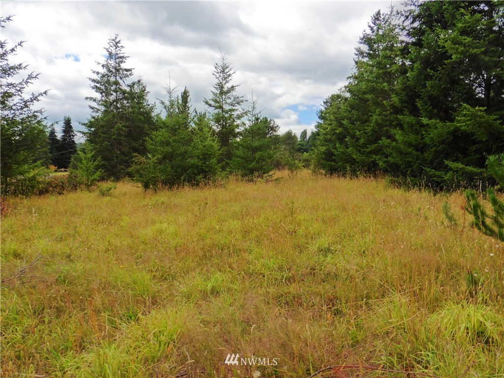 -xx Satsop Riviera Loop Elma, WA 98541 - Photo 5 of 6 Gallery Image 5