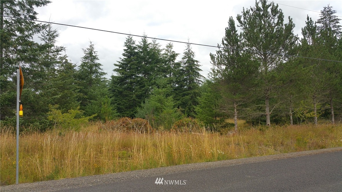 -xx Satsop Riviera Loop Elma, WA 98541 - Photo 6 of 6 Gallery Image 6