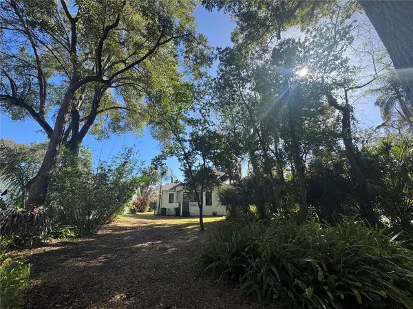 a view of back yard of the house
