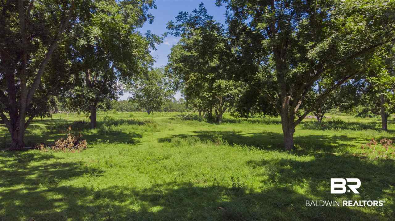 15308 County Road 83 Elberta, AL 36530 - Photo 20 of 45