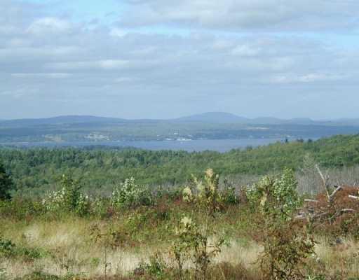 0 Bog Road Northport, ME 04849 - Photo 1 of 1 View.