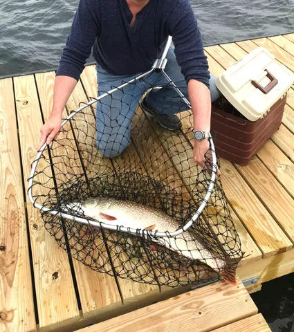 $393,000 | 149 Joslin Cove Drive, Manistee, MI 49660