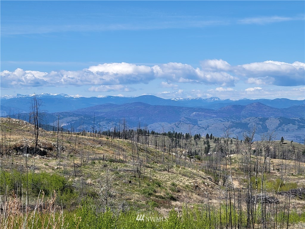 0 Lone Spur Road Oroville, WA 98844 - Photo 2 of 16 Gallery Image 2