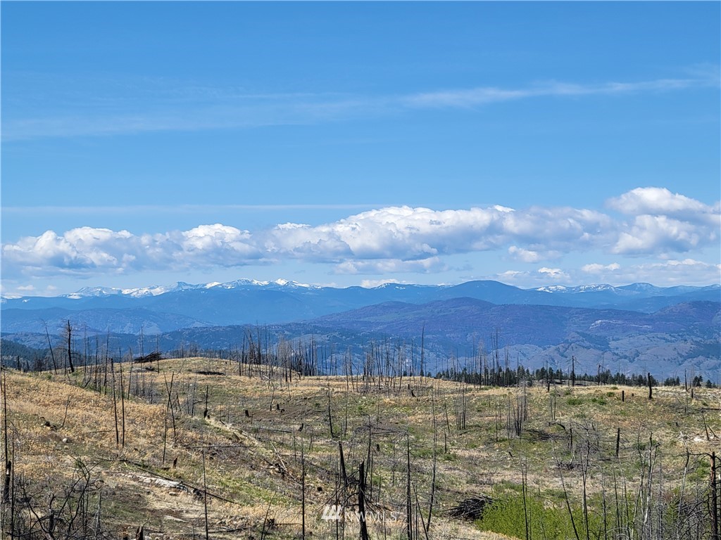 0 Lone Spur Road Oroville, WA 98844 - Photo 12 of 16 Gallery Image 12