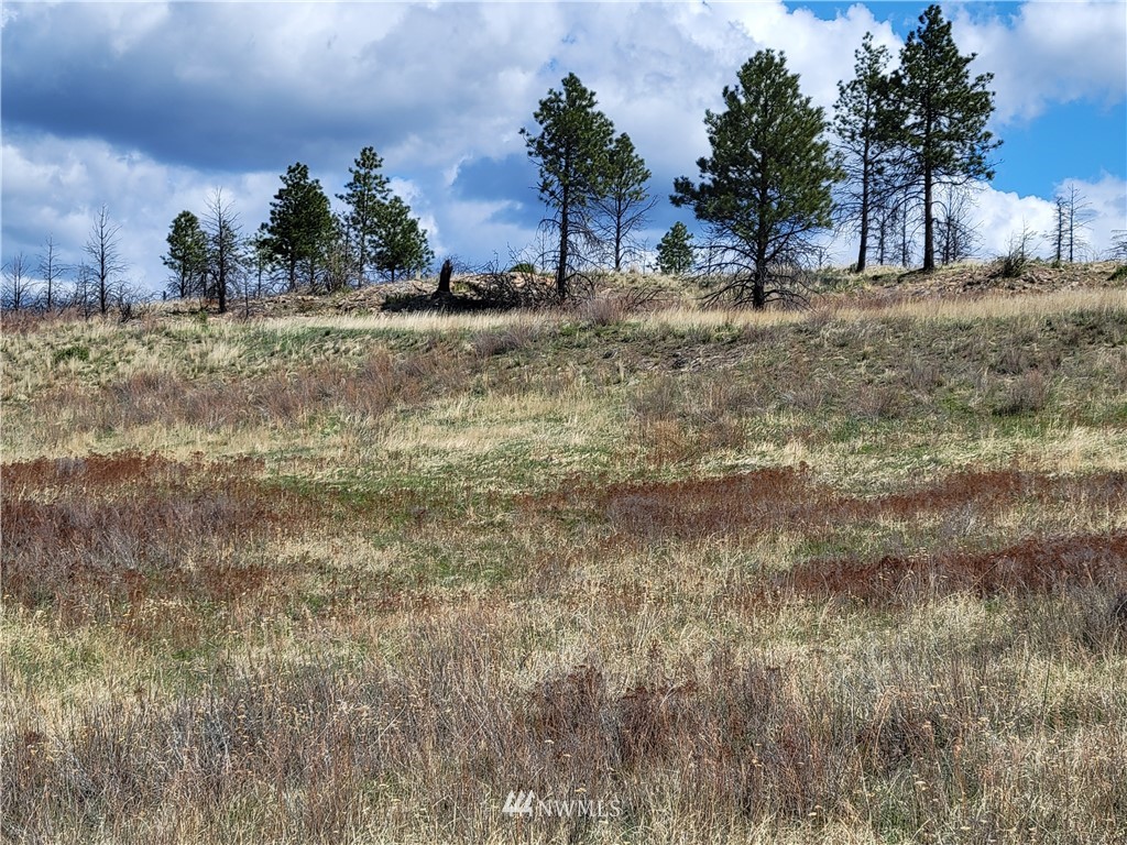 0 Lone Spur Road Oroville, WA 98844 - Photo 13 of 16 Gallery Image 13