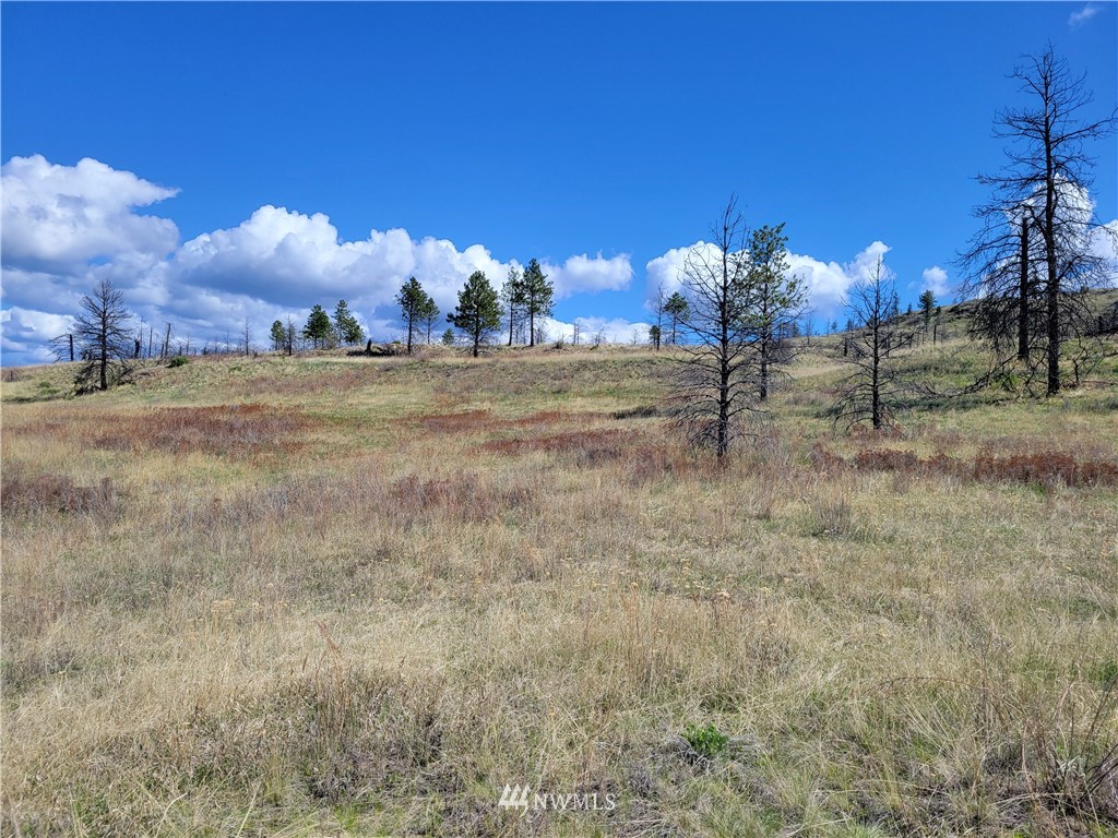 0 Lone Spur Road Oroville, WA 98844 - Photo 14 of 16 Gallery Image 14