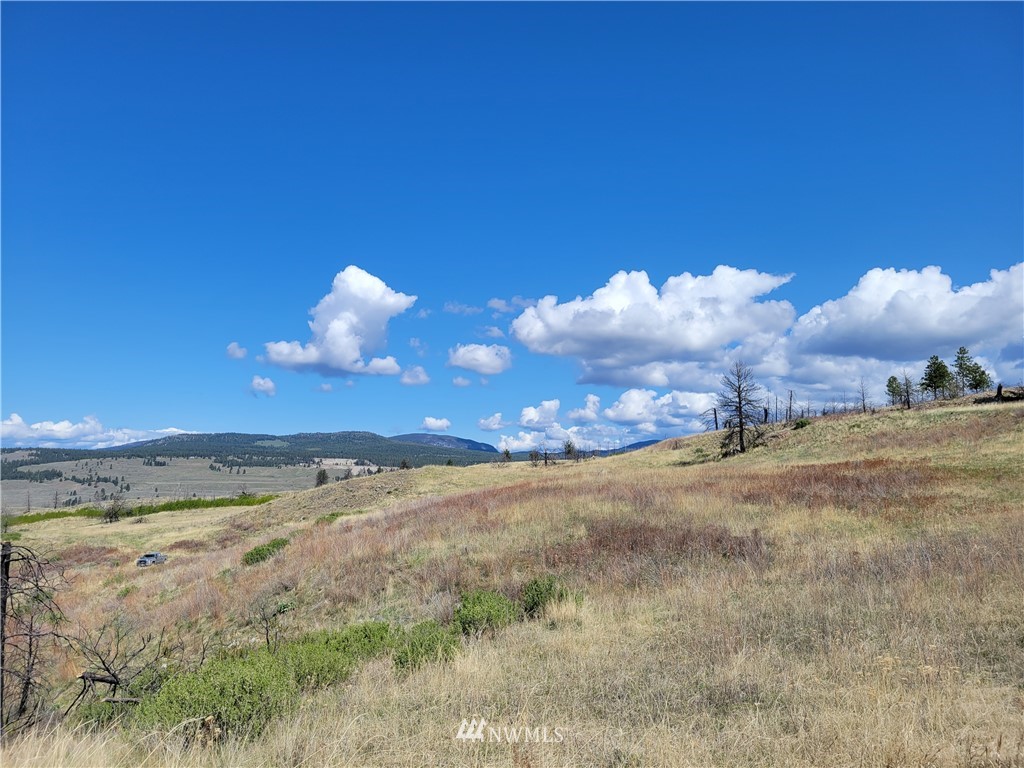 0 Lone Spur Road Oroville, WA 98844 - Photo 15 of 16 Gallery Image 15