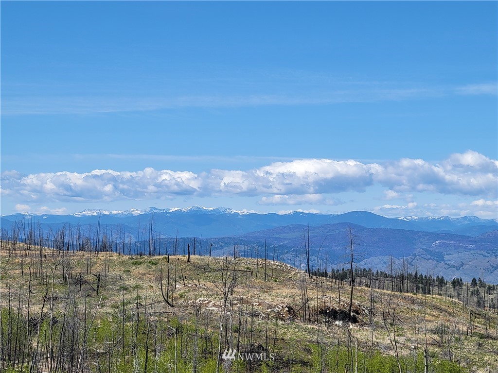 0 Lone Spur Road Oroville, WA 98844 - Photo 5 of 16 Gallery Image 5