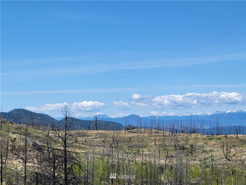 0 Lone Spur Road Oroville, WA 98844 - Photo 6 of 16 Gallery Image 6