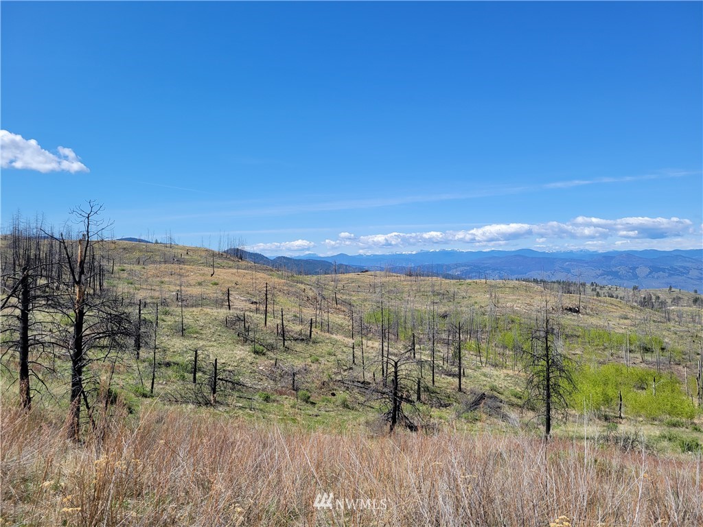 0 Lone Spur Road Oroville, WA 98844 - Photo 8 of 16 Gallery Image 8