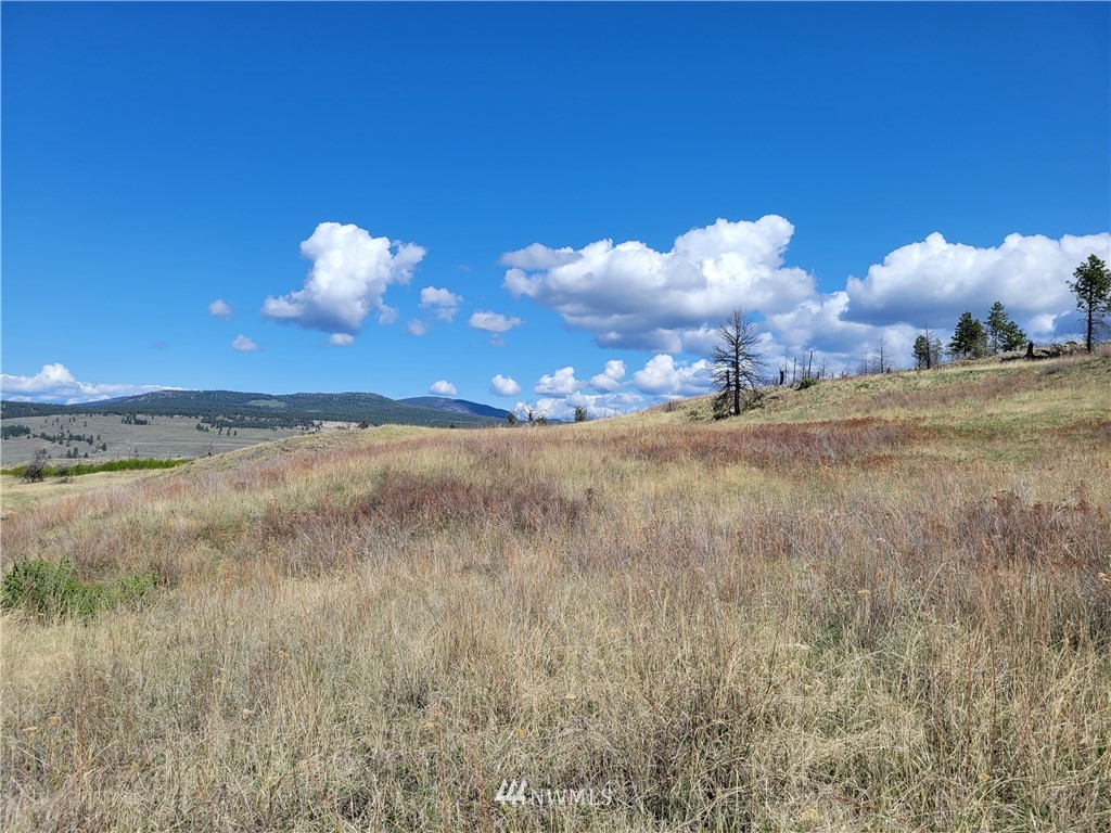 0 Lone Spur Road Oroville, WA 98844 - Photo 9 of 16 Gallery Image 9