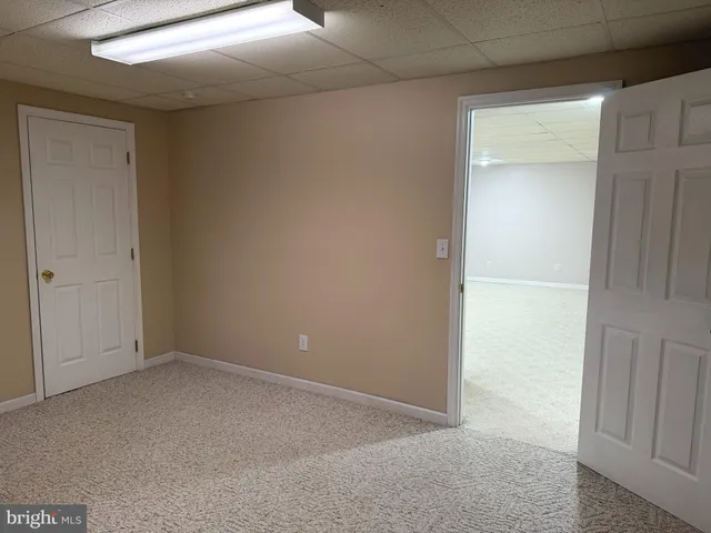 a view of a yard with trees